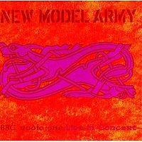 New Model Army : BBC Radio One Live in Concert